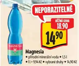 Albert Magnesia nabídka