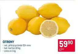 Makro Citrony nabídka