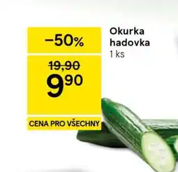 Tesco Okurka hadovka nabídka