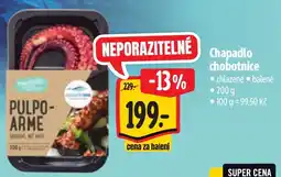 Albert Chapadlo chobotnice nabídka