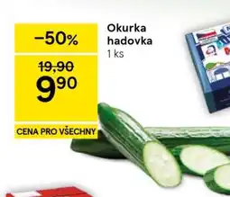 Tesco Okurka hadovka nabídka