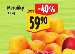 Albert Meruňky nabídka