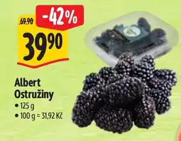 Albert Albert Ostružiny nabídka