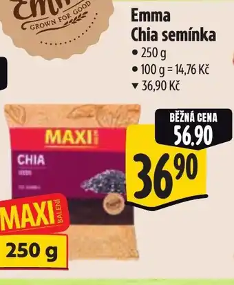 Albert Emma Chia semínka nabídka