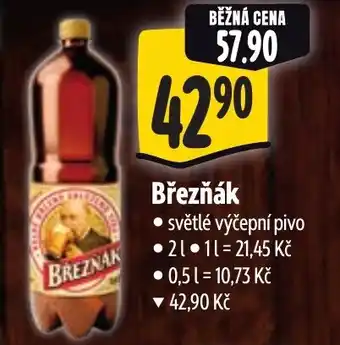 Albert Březňák nabídka