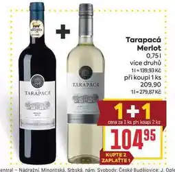 Billa Tarapacá Merlot nabídka