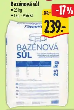 Albert Bazénová sůl nabídka