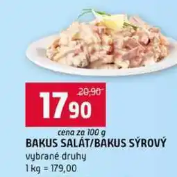 Terno BAKUS SALÁT BAKUS SÝROVÝ vybrané druhy nabídka