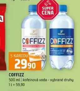 Terno COFFIZZ 100 500 ml kofeinová voda vybrané druhy nabídka