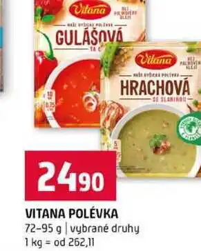 Terno VITANA POLÉVKA 72-95 g vybrané druhy nabídka
