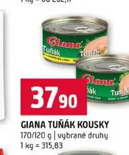 Terno GIANA TUŇÁK KOUSKY 170/120 g vybrané druhy nabídka