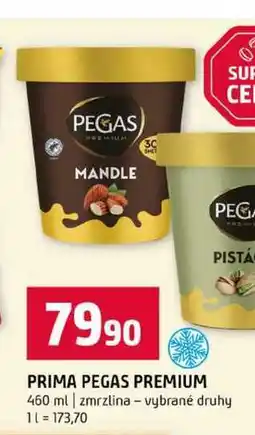 Terno PEGAS PREMIUM 460 ml zmrzlina vybrané druhy nabídka