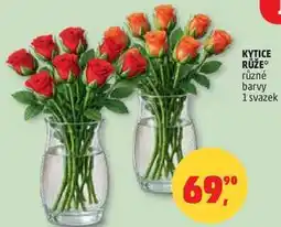 Penny Market KYTICE RŮŽE různé barvy, 1 svazek nabídka