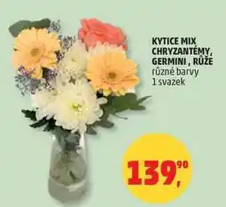 Penny Market KYTICE MIX CHRYZANTÉMY, GERMINI, RŮŽE různé barvy, 1 svazek nabídka