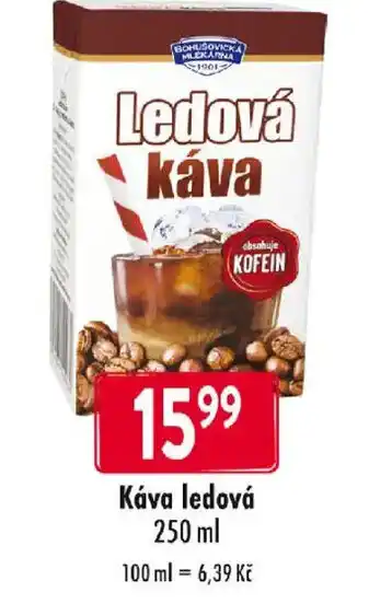 Qanto Káva ledová nabídka
