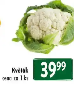 Qanto Květák nabídka