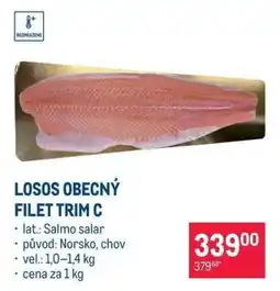 Makro LOSOS OBECNÝ FILET TRIM C nabídka