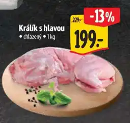 Albert Králík s hlavou nabídka