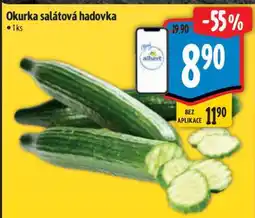 Albert Okurka salátová hadovka nabídka