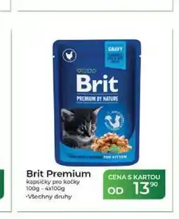 Tamda Foods Brit Premium kapsičky pro kočky 100g nabídka