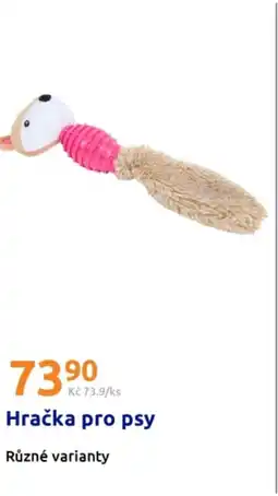 Action Hračka pro psy nabídka
