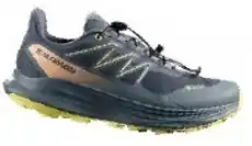Intersport Pánské běžecké boty Alpharide 2 GTX nabídka