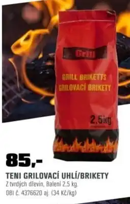 OBI Teni grilovací uhlí/brikety nabídka
