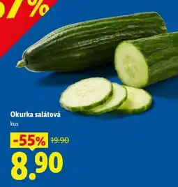 Lidl OKURKA SALÁTOVÁ nabídka