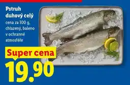 Lidl Pstruh duhový celý nabídka