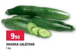 Terno OKURKA SALÁTOVÁ nabídka