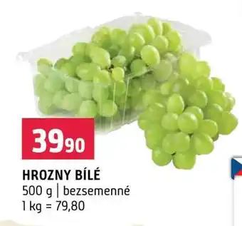 Terno Hrozny bílé nabídka