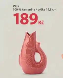 NKD Váza nabídka