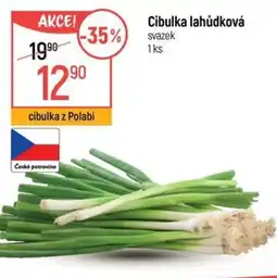 Globus Cibulka lahůdková nabídka