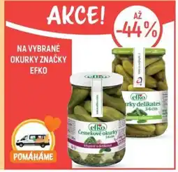 Globus NA VYBRANÉ OKURKY ZNAČKY EFKO nabídka