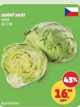 Penny Market Ledový salát nabídka