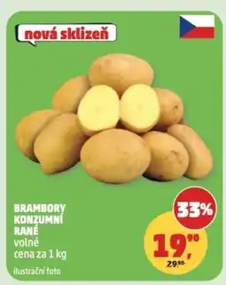 Penny Market Brambory konzumní rané nabídka