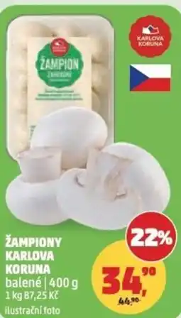 Penny Market Žampiony karlova koruna nabídka