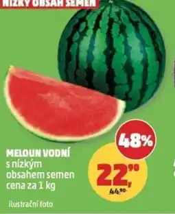 Penny Market Meloun vodní nabídka