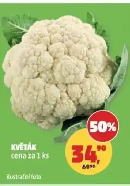 Penny Market Květák nabídka