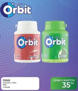 Tamda Foods Orbit žvýkačka v dóze nabídka