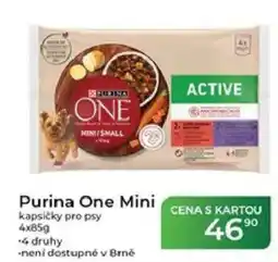 Tamda Foods Purina One Mini kapsičky pro psy nabídka