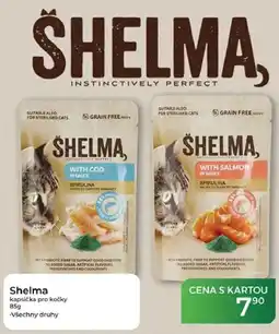 Tamda Foods Shelma kapsička pro kočky nabídka