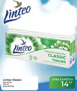 Tamda Foods Linteo Classic kapesničky 10ks 2V nabídka