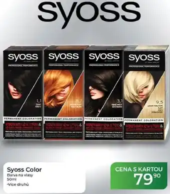 Tamda Foods Syoss Color Barva na vlasy nabídka