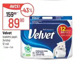 Globus Velvet nabídka