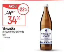 Globus VINCENTKA nabídka