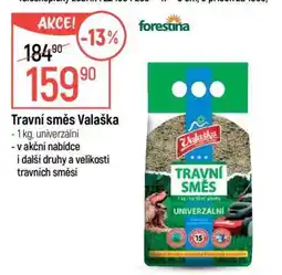 Globus Travní směs Valaška nabídka