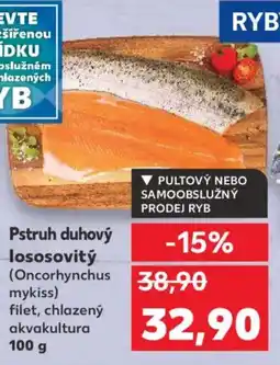 Kaufland Pstruh duhový lososovitý nabídka