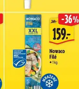 Albert Nowaco Filé nabídka
