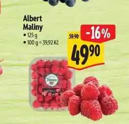 Albert Albert Maliny nabídka